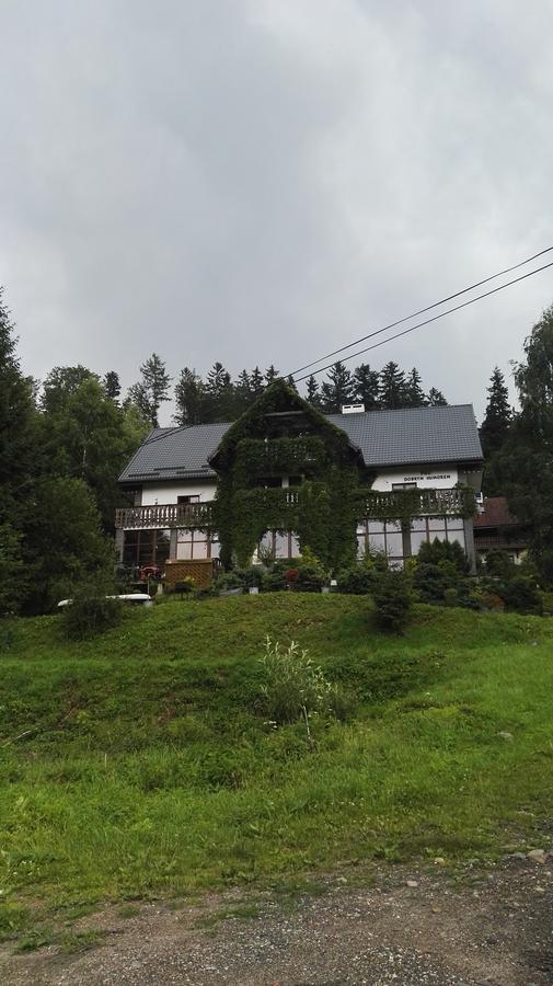 Willa Pod Dobrym Humorem Miedzygorze Exterior photo